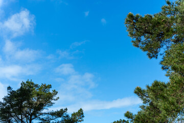 Bright Blue Sky with White Cotton Clouds