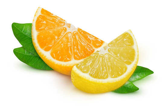 Lemon and orange slices on isolated white background