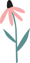 Hand drawn pink colored echinacea flower isolated on background. Vector illustration. Floral herbal, healthy garden or meadow plant clipart for cards, web.