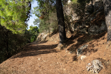 Greek church. Church in Zakynthos town, Greece.  Zakynthos town city. Church, castle in Zante, Zakynthos.