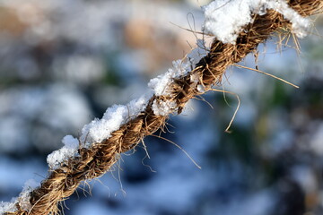 Schnee auf einem groben Naturseil