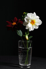 Two flowers in a vase on dark moody black background, beautiful romantic composition for celebtarion design and concept, vertical