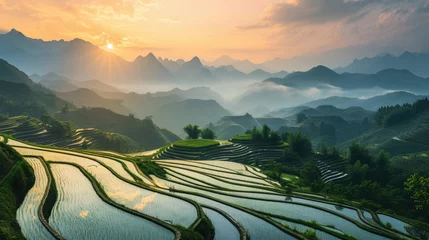Wall murals Rice fields rice fields in the mountains at sunset