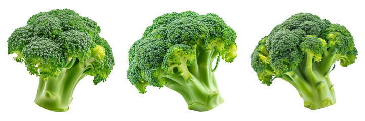 Fresh Broccoli Floret Set Isolated on Transparent or White Background, PNG