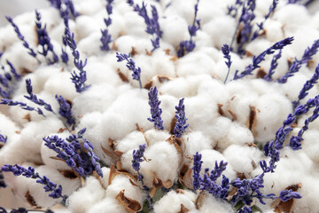 Closeup of dried bouquet, cotton and lavender. Texture for design