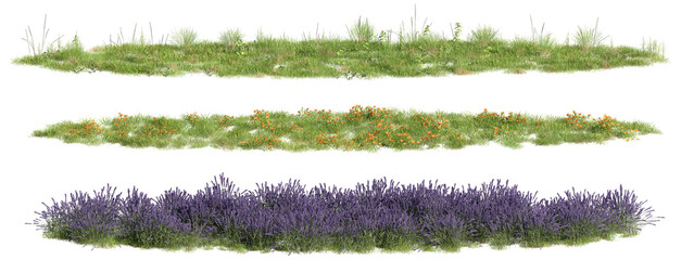 ground covers, meadows, 3d rendering on transparent background