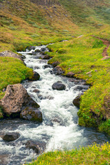 Naklejka na ściany i meble mountain stream in icelandic highlands, spring season landscape