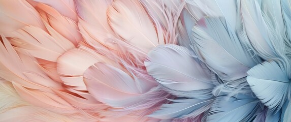 Mesmerizing Top-Down Photograph of Pastel-Colored Feathers - Soft and Intricate Design for a Serene and Dreamy Atmosphere
