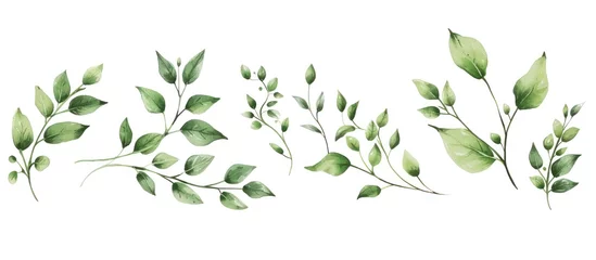 Foto op Plexiglas Floral leaves drawn with summer branches isolated white background. AI generated image © prastiwi