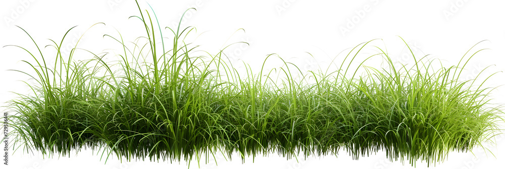 Poster cut out green grass field transparent backgrounds 3d rendering png file