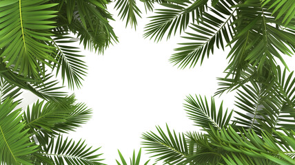 Fototapeta na wymiar Tropical frame with green palm leaves. Tropical plant branches isolated on a transparent background.