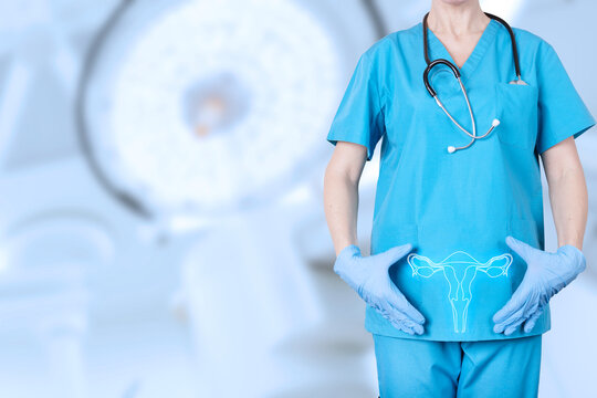 gynecologist in a medical uniform and a model of the reproductive system of a woman, the uterus, at the level of the pelvic bones of a woman, on a blurred background of a gynecological office.