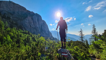 Hiker man on hiking trail in dense alpine forest with scenic view of majestic mountains of...