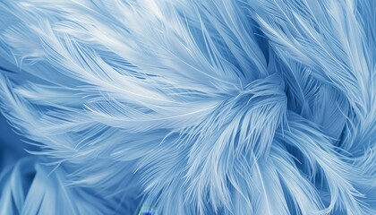 Pastel Perfection: Transform Your Space with Serene Blue Bird Feathers Wallpaper
