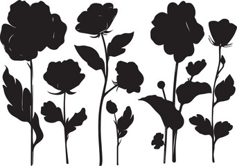 Set Flower. Hand drawn vector illustration	