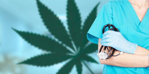 Cannabis therapy. Doctor woman in medical gloves with a stethoscope on the background of a leaf of...