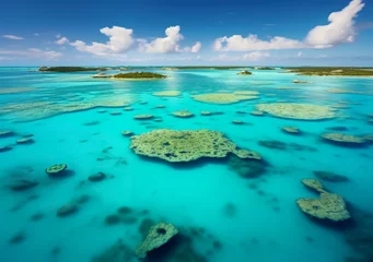Foto op Plexiglas Tranquil Waterscape: Panoramic Turquoise Lagoon View © Dimitar
