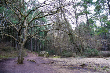 Fototapeta premium Beautiful landscape near the Nacimiento del Rio Mundo in Albacete, Spain