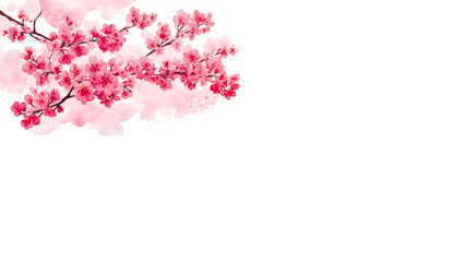 Obraz na płótnie Canvas Banner with Sakura flowers of pink color on white. Branch of blooming sakura with copy space for text, watercolor. Valentine's Day, Easter, Birthday, Women's Day, Mother's Day