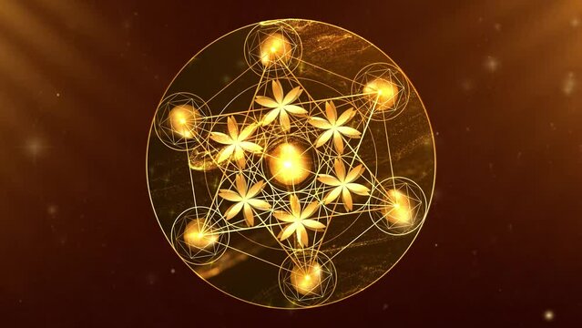 Video animation Metatron's Cube, Flower of Life. Golden Sacred geometry, graphic technology element fluid light background. Mystic gold icon platonic solids, abstract geometric drawing, crop circles