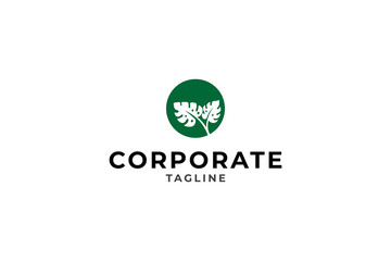 nature monstera plant flat logo vector design © Dina