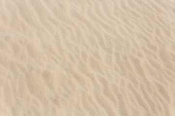 Fototapeta na wymiar Desert sand pattern at afternoon