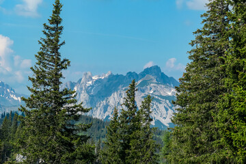 Panoramic view of alpine landscape seen from Allakogel, Hochschwab mountains, Styria, Austria. Wanderlust in wilderness of Austrian Alps, Europe. Looking at summit Griesmauerkogel and TAC-Spitze