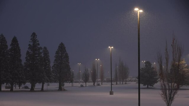  Empty parking lot before sunrise lit by lights in a snow storm