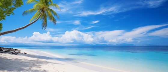 Fototapeta na wymiar beautiful sandy beach and soft blue ocean wave. Сopy space for a product 