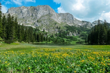 Panoramic view of alpine lake Sackwiesensee in majestic Hochschwab mountains, Styria, Austria. Wanderlust in wilderness of remote Austrian Alps, Europe. Massive mountain ridge Seemauer and Oehler