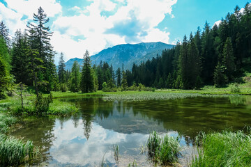 Fototapeta premium Panoramic view of alpine lake Josersee surrounded by forest in Hochschwab mountains, Styria, Austria. Wanderlust in wilderness of untamed Austrian Alps, Europe. Idyllic hiking atmosphere in summer