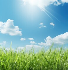 Fototapeta na wymiar blue sky with clouds and grass