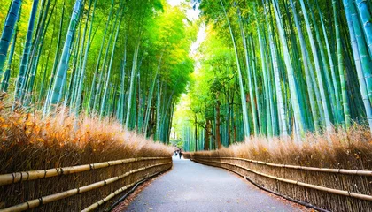 Gordijnen bamboo groves bamboo forest in arashiyama kyoto japan © Jayla