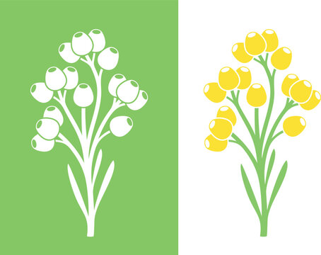 Immortelle logo. Isolated immortelle on white background