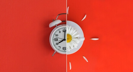 Collage of white alarm clock and white cup with chamomile flower on the red background. Top view.Copy space.