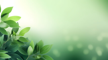 Spring background, green natural rustic background