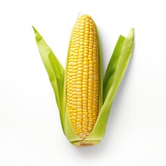 Obraz premium Corn isolated on a white background