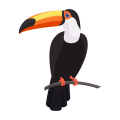 Fototapeta premium Toucan bird with big bill sitting on tree branch in tropical forest vector illustration