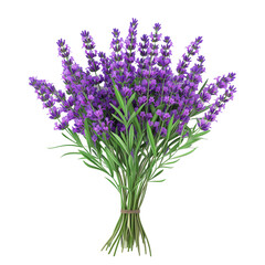 Naklejka premium 3d illustration cartoon Lavender flowers bunch on transparent background