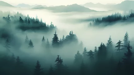 Wall murals Forest in fog Forest landscape, exotic foggy forest