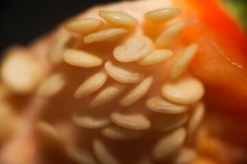 close up of a pepper seeds 