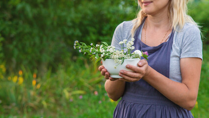 A woman in the garden collects medicinal herbs for tinctures and alternative medicine. Selective...
