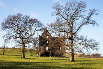 Naklejka premium Gilbertfield Castle is a ruined 17th-century castle in South Lanarkshire, Scotland. UK. It is located on the north slope of Dechmont Hill, just outside Cambuslang, to the south-east of Glasgow. 