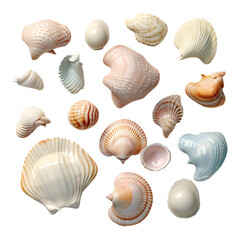 3D Rendering of a Seashell on Transparent Background - Ai Generated