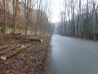 park road in the winter season