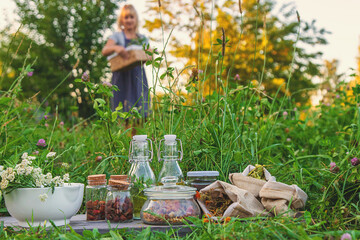 A woman in the garden collects medicinal herbs for tinctures and alternative medicine. Selective...