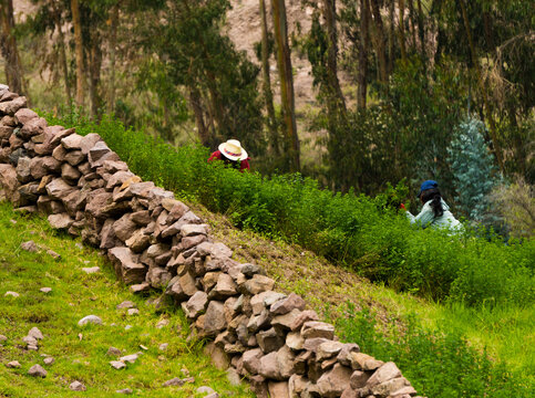 Sierra de Lima Peru Langa