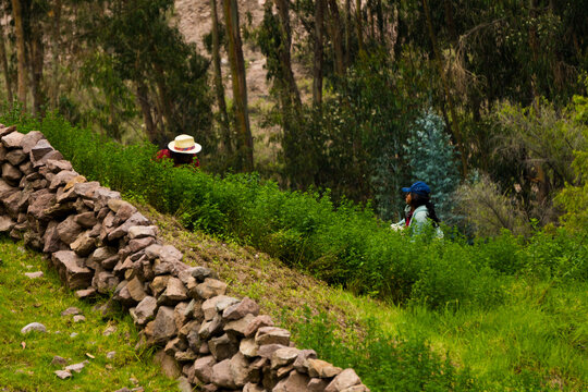 Sierra de Lima Peru Langa