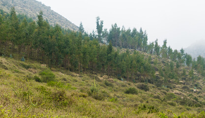 Fototapeta na wymiar Sierra de Lima Peru Langa