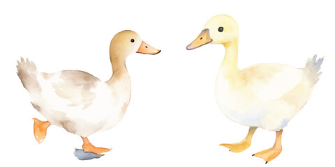 watercolor of duck vector illustration